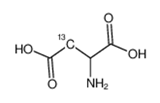 Изображение DL-Aspartic acid-3-13C