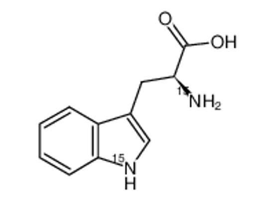 Picture of (2S)-2-azanyl-3-(1H-indol-3-yl)propanoic acid