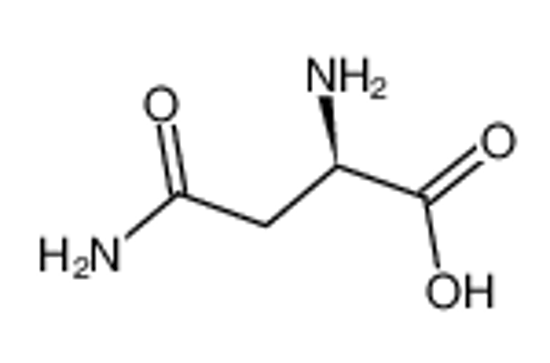 Picture of D-asparagine