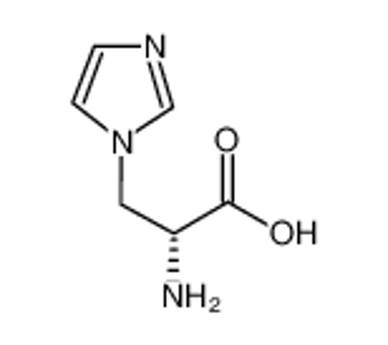 Picture of (2R)-2-amino-3-(dimethylamino)propanoic acid