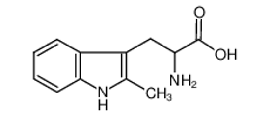 Изображение 2-METHYL-DL-TRYPTOPHAN