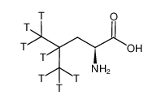 Picture of L-LEUCINE-[3,4,5-3H(N)]