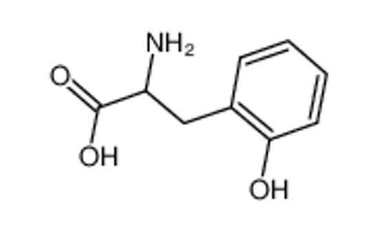 Picture of DL-O-TYROSINE