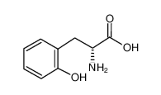 Picture of (2R)-2-amino-3-(2-hydroxyphenyl)propanoic acid