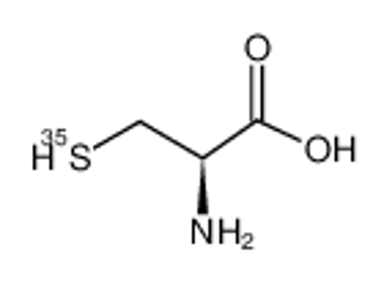 Picture of L-CYSTEINE, [35S]
