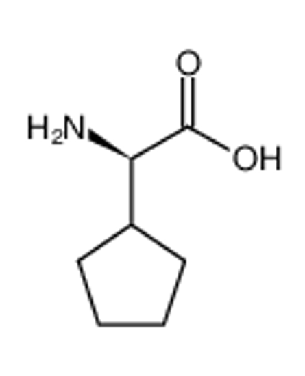 Picture of D-Cyclopentylglycine