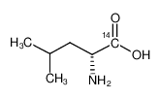 Imagem de (2R)-2-amino-4-methylpentanoic acid