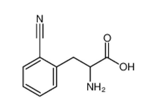 Picture of 2-amino-3-(2-cyanophenyl)propanoic acid