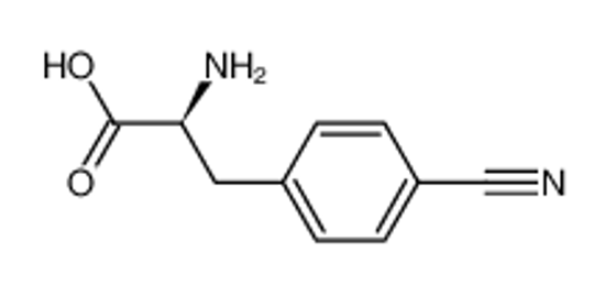 Picture of (2R)-2-amino-3-(4-cyanophenyl)propanoic acid