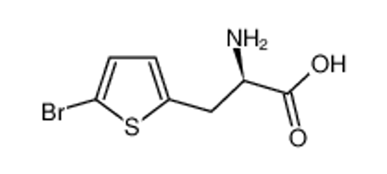 Imagem de (R)-2-Amino-3-(5-bromothiophen-2-yl)propanoic acid