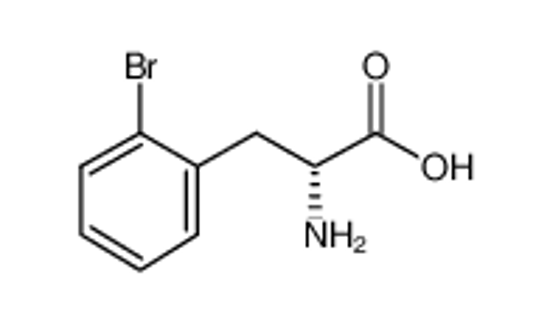 Picture of (2R)-2-amino-3-(2-bromophenyl)propanoic acid