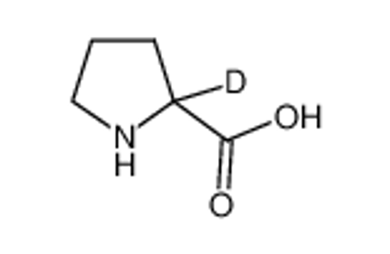Imagem de DL-PROLINE-2-D1