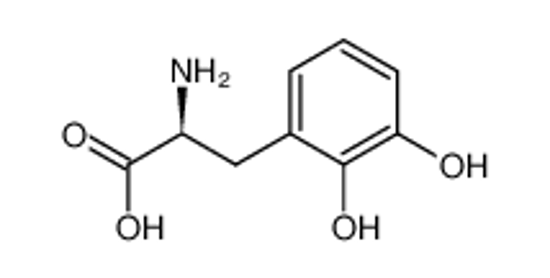 Picture of (2S)-2-amino-3-(2,3-dihydroxyphenyl)propanoic acid