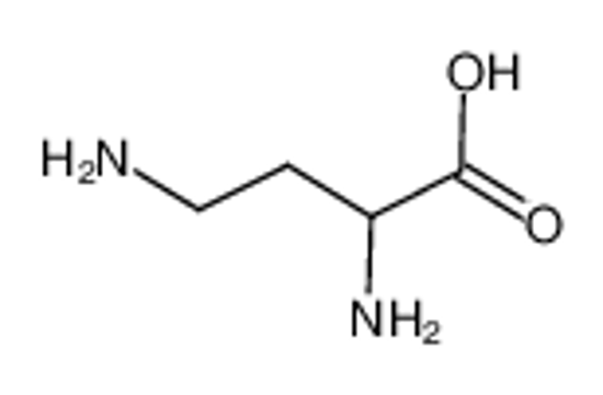 Picture of 2,4-diaminobutyric acid