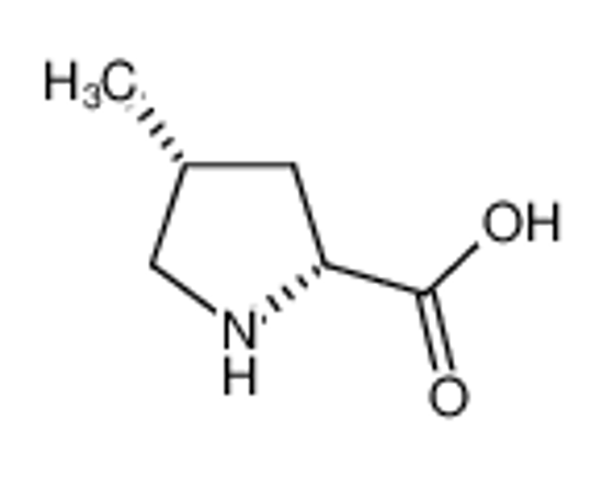 Picture of cis-4-methylproline