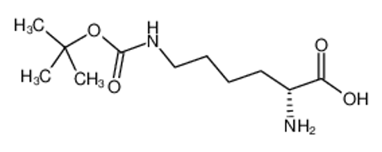 Imagem de (2R)-2-amino-6-[(2-methylpropan-2-yl)oxycarbonylamino]hexanoic acid