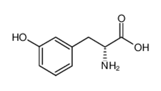 Picture of (2R)-2-amino-3-(3-hydroxyphenyl)propanoic acid