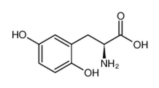 Picture of (2S)-2-amino-3-(2,5-dihydroxyphenyl)propanoic acid