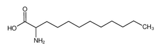 Изображение (±)-2-aminododecanoic acid