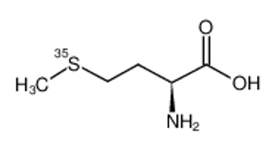 Picture of L-[35S]METHIONINE