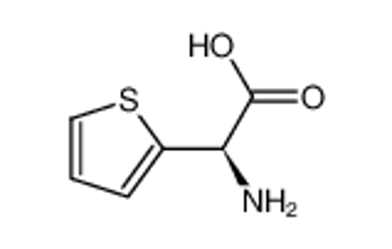 Picture of (-)-2-thienylglycine
