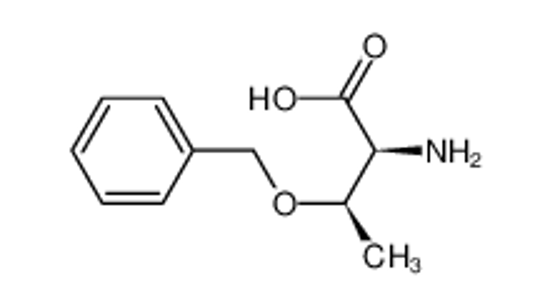 Picture of (2S,3R)-2-amino-3-phenylmethoxybutanoic acid