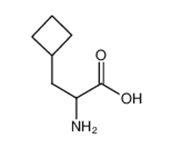 Picture of 2-amino-3-cyclobutylpropanoic acid