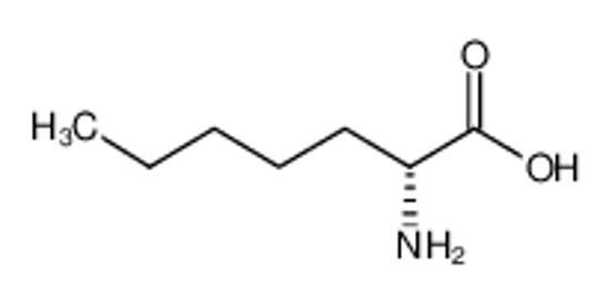 Picture of (2R)-2-aminoheptanoic acid