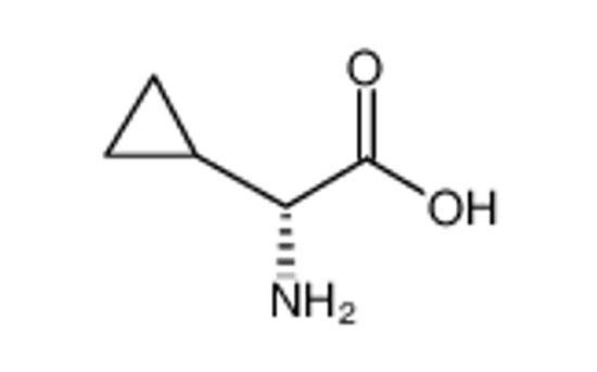 Picture of (2R)-2-amino-2-cyclopropylacetic acid