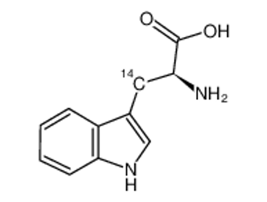 Picture of (2R)-2-amino-3-(1H-indol-3-yl)propanoic acid