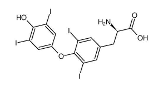 Picture of D-thyroxine
