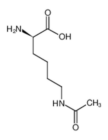 Изображение (2R)-6-acetamido-2-aminohexanoic acid