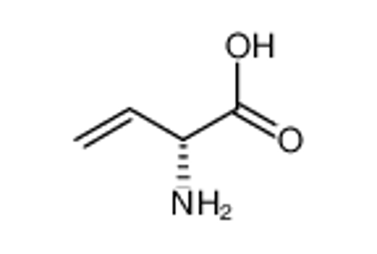Picture of (2R)-2-aminobut-3-enoic acid