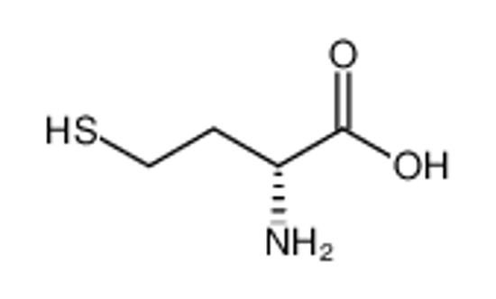Picture of (2R)-2-amino-4-sulfanylbutanoic acid
