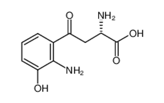 Picture of 3-hydroxy-L-kynurenine