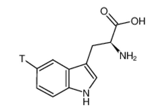 Picture of L-TRYPTOPHAN, [5-3H]-