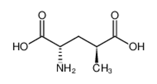 Изображение (2S,4S)-2-amino-4-methylpentanedioic acid