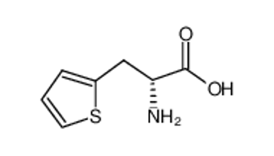 Imagem de (2R)-2-amino-3-thiophen-2-ylpropanoic acid