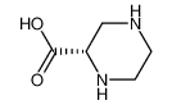 Picture of (S)-PIPERAZINE-2-CARBOXYLIC ACID