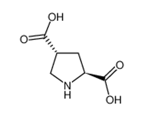 Изображение (2S,4R)-pyrrolidine-2,4-dicarboxylic acid