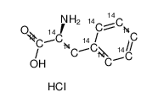Picture of L-Phenylalanine-UL-14C hydrochloride