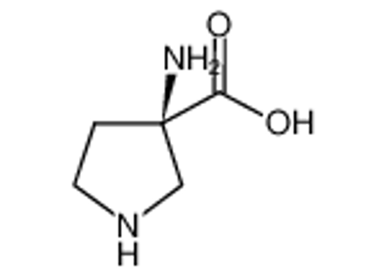 Picture of (3R)-3-aminopyrrolidine-3-carboxylic acid