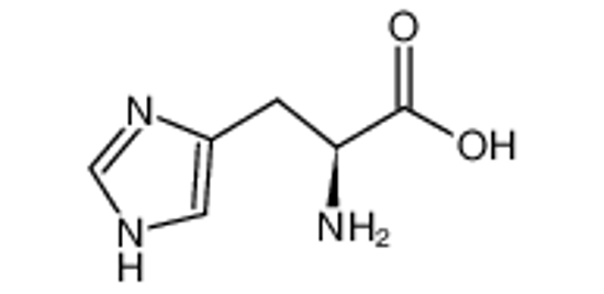 Picture of L-Histidine Base