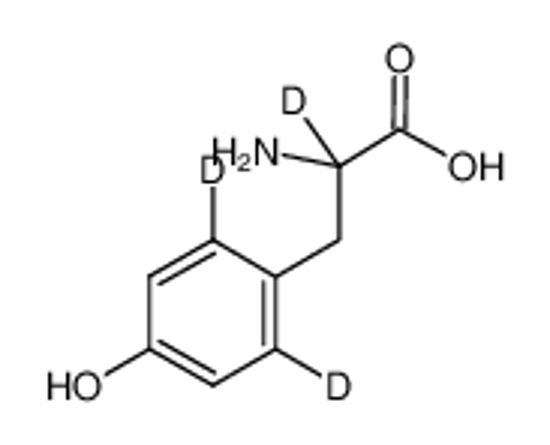 Picture of DL-4-HYDROXYPHENYL-2,6-D2-ALANINE-2-D1