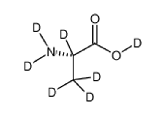 Picture of L-ALANINE (D7)