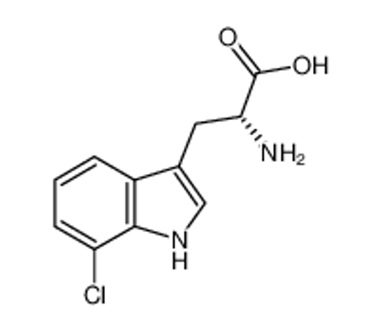 Изображение (2R)-2-amino-3-(7-chloro-1H-indol-3-yl)propanoic acid