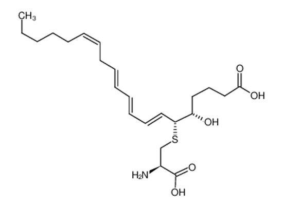 Imagem de 11-trans Leukotriene E4