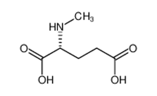 Picture of (2R)-2-(methylamino)pentanedioic acid