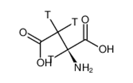 Picture of L-ASPARTIC ACID, [2,3-3H]