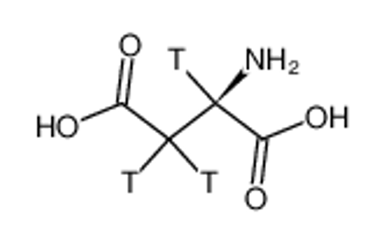 Picture of ASPARTIC ACID, D-[2,3-3H]